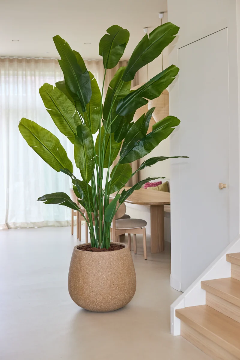 Kunstplant Strelitzia Nicolai Deluxe 235 cm