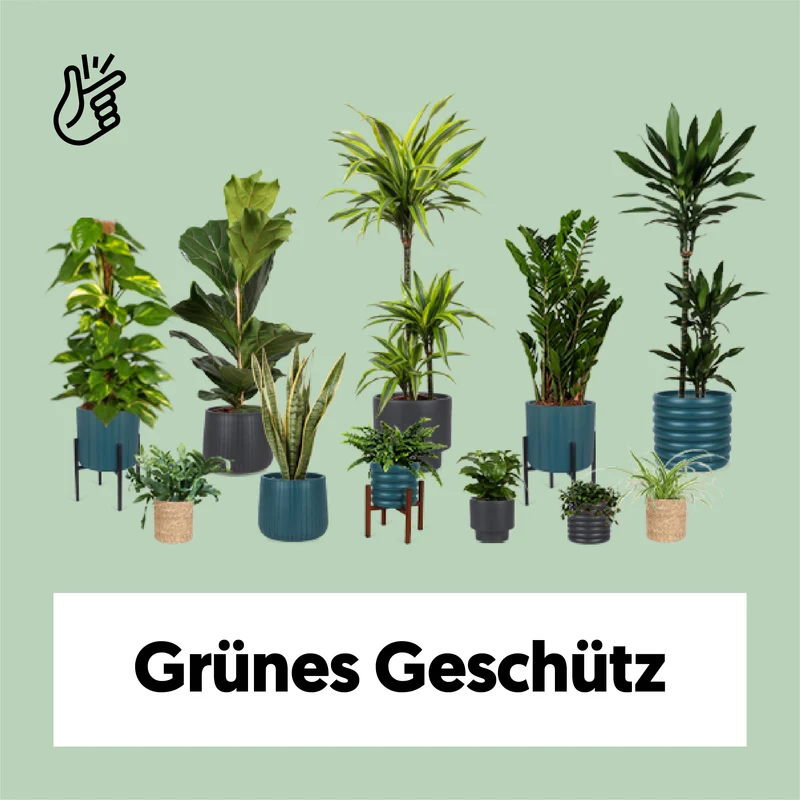 Grünes Geschütz