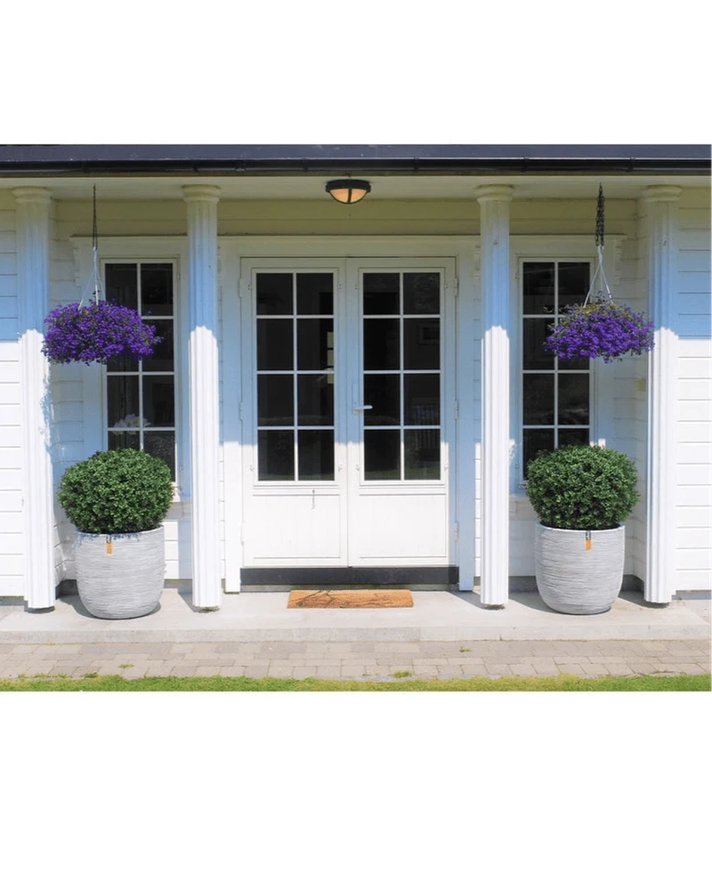 Kunst Buxus op stam UV d60 cm