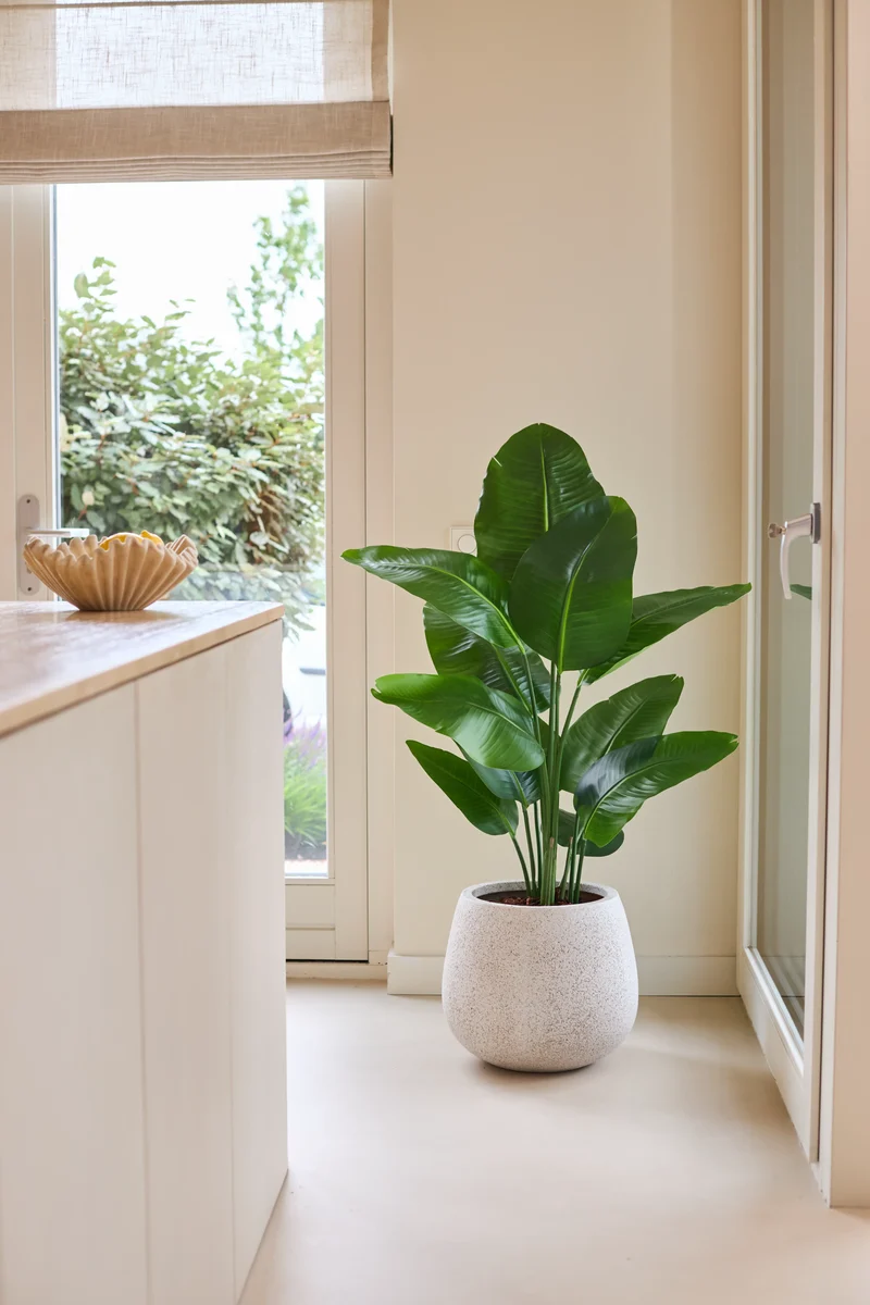 Kunstplant Strelitzia Real Touch Deluxe 120 cm