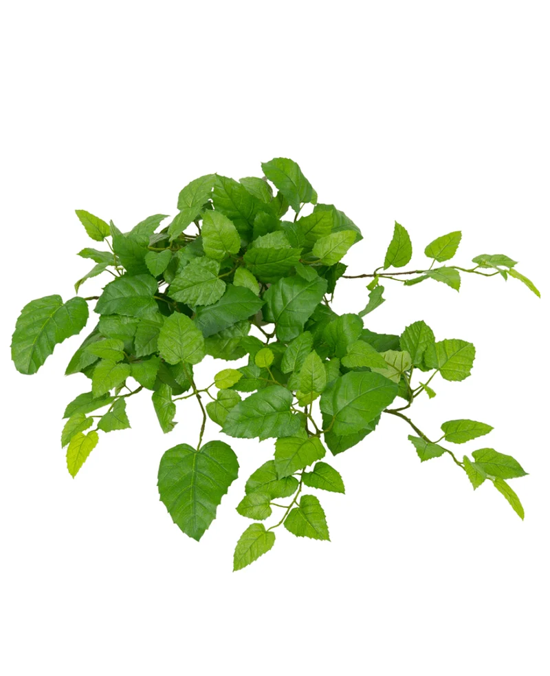 Künstliche hängende Hausrebe grün 70cm