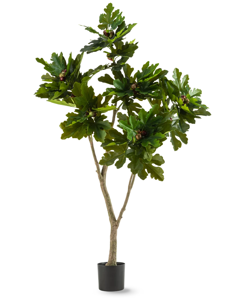 Künstliche Pflanze Ficus Carica Veigenboom 180 cm