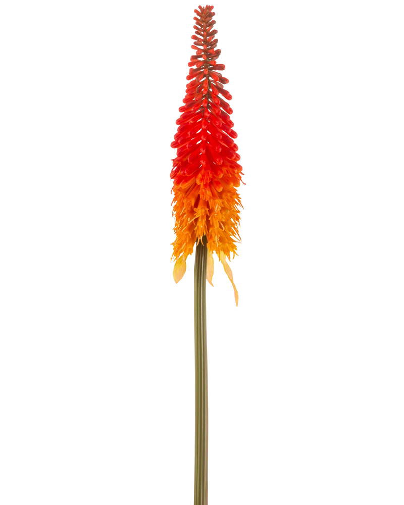Künstliche Blume Fackellilie 80 cm orange
