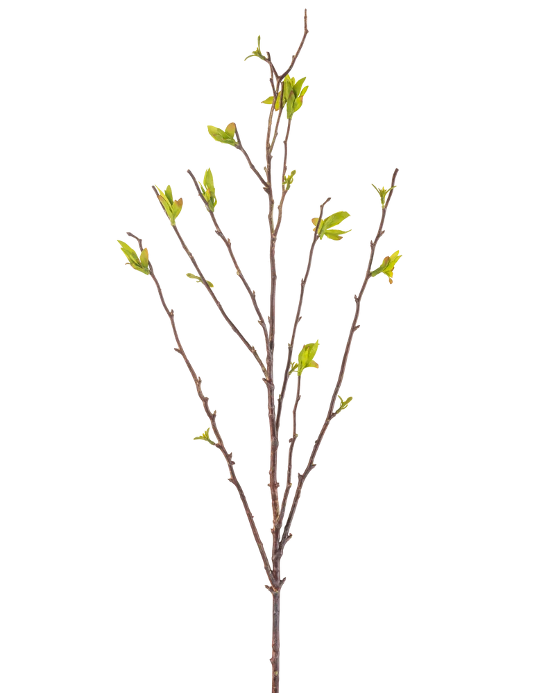Künstliche Blume Winter Sweet 81 cm grün
