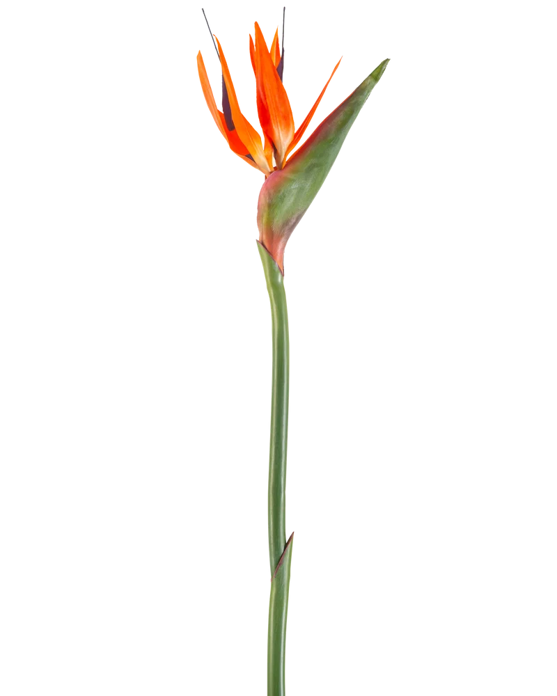 Künstliche Blume Paradiesvogel 99 cm Koralle