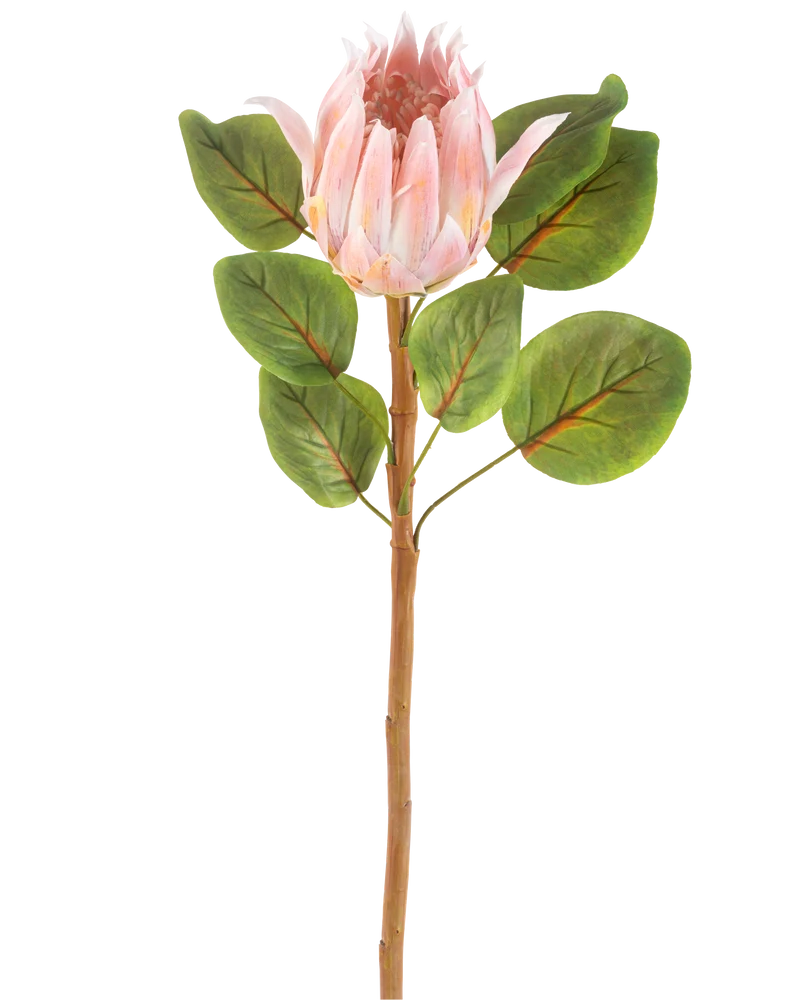 Künstliche Blume Protea 65 cm rosa