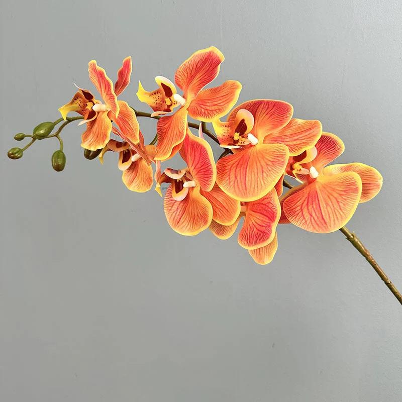 Phalaenopsis Orchideenzweig 100 cm | Real Touch Kunstblume in Herbstfarben | 7 Blüten Ø 10 cm | Echt anfühlend für hohe Vasen, Hochzeit & Deko