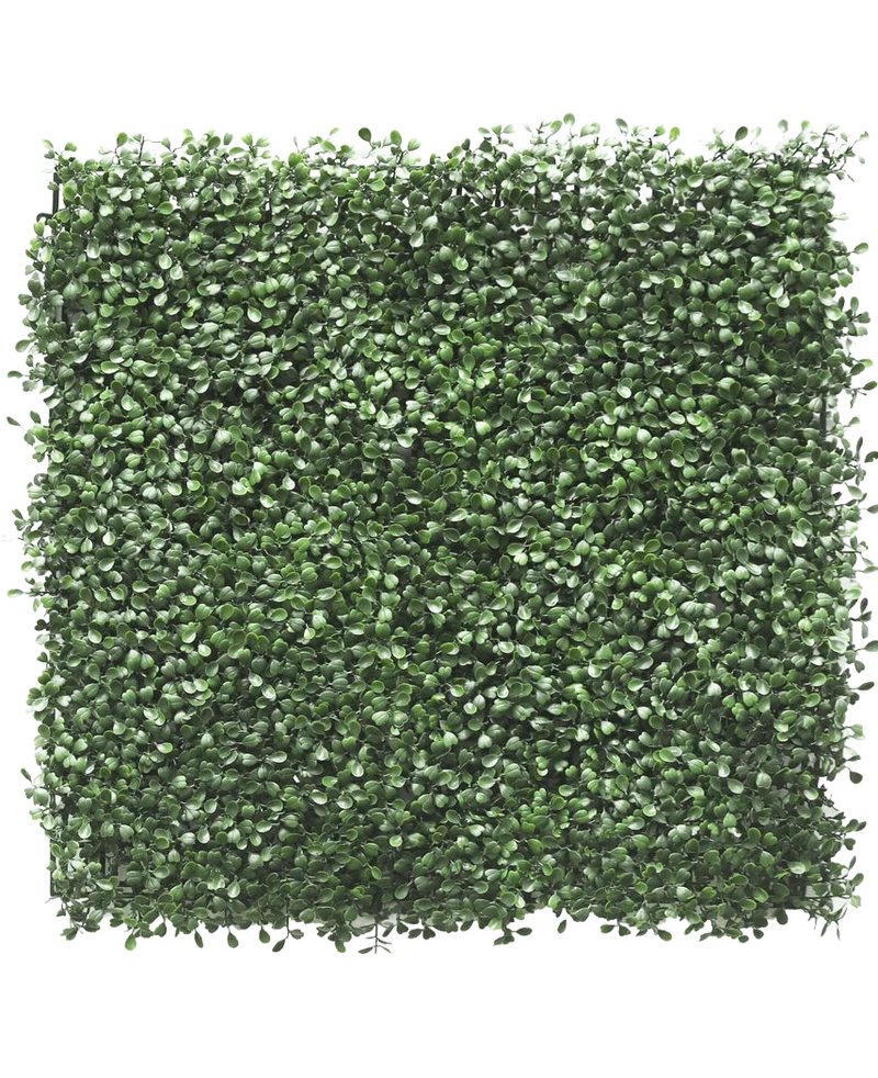 Kunstpflanzen Wand Buxus 50x50 cm UV