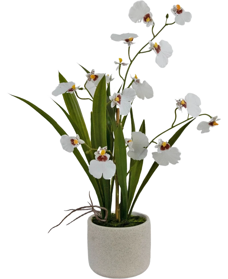 Künstliche Oncidium Real Touch 48 cm weiß