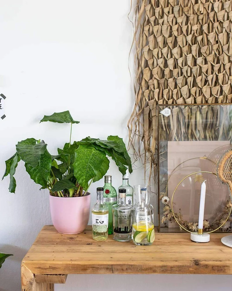 Calathea network (Korbmarante)