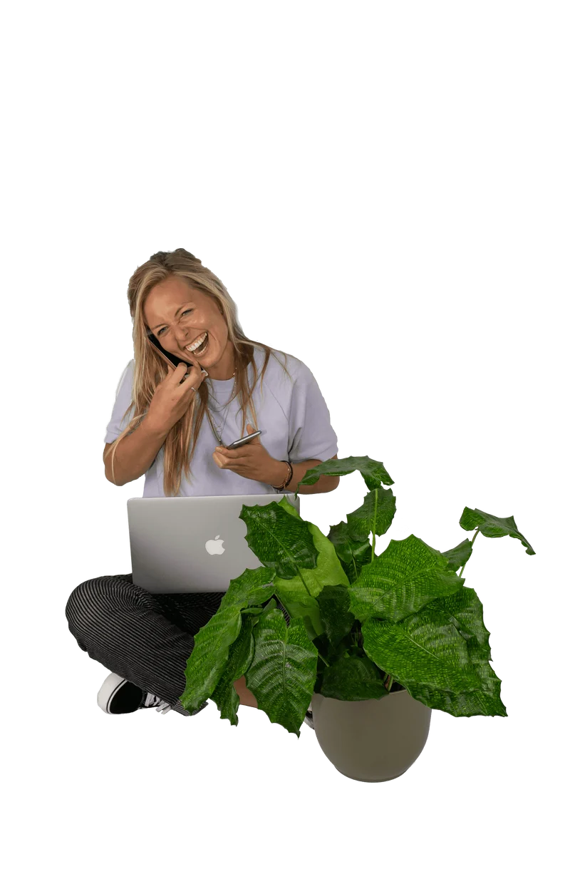 Calathea network (Korbmarante)