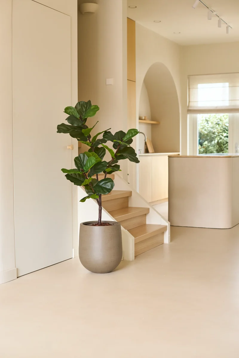 Kunstplant Ficus Tabaksplant Deluxe 125 cm