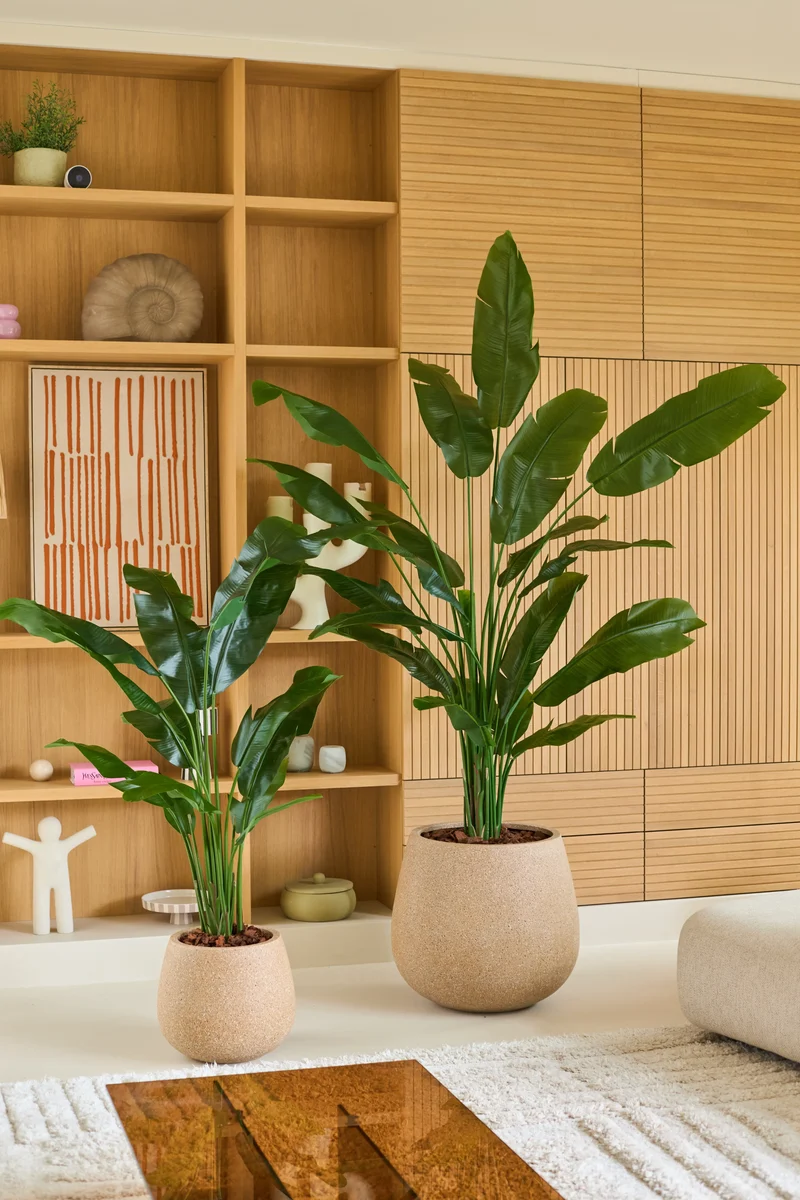 Kunstplant Strelitzia Nicolai Deluxe 210 cm
