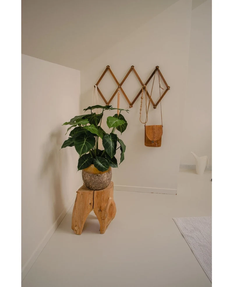 Kunstplant Syngonium UV 58 cm