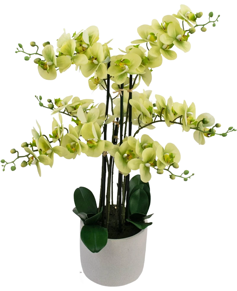 Künstliche Orchidee Real Touch 81 cm grün