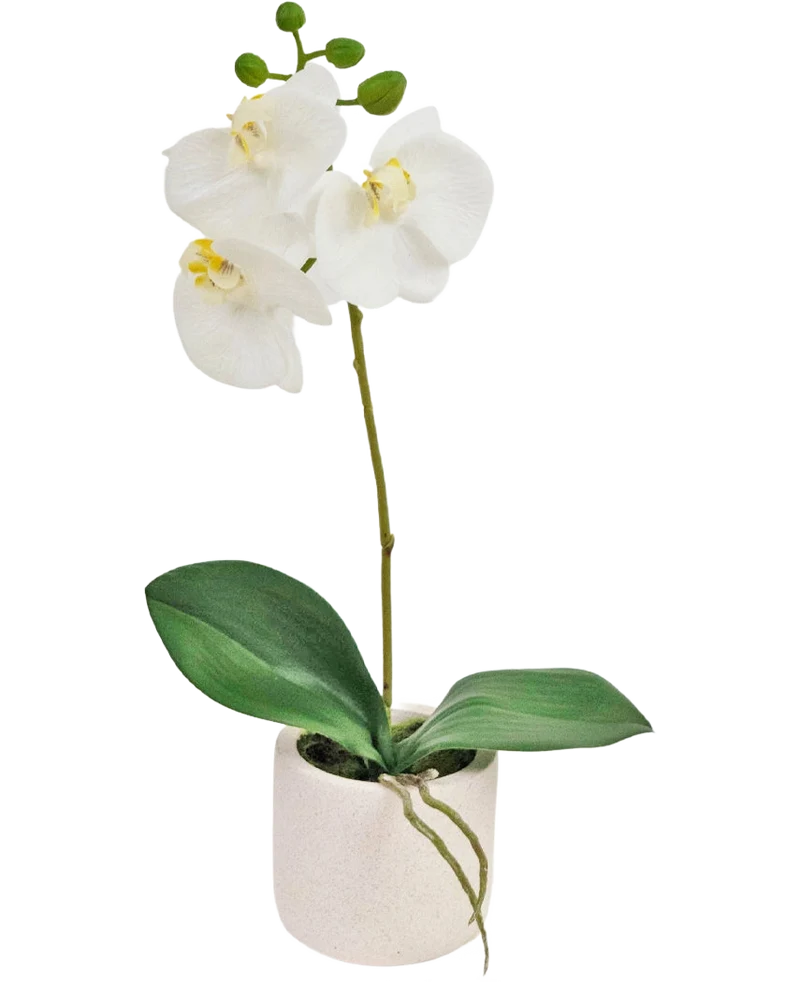 Künstliche Orchidee Real Touch 30 cm weiß