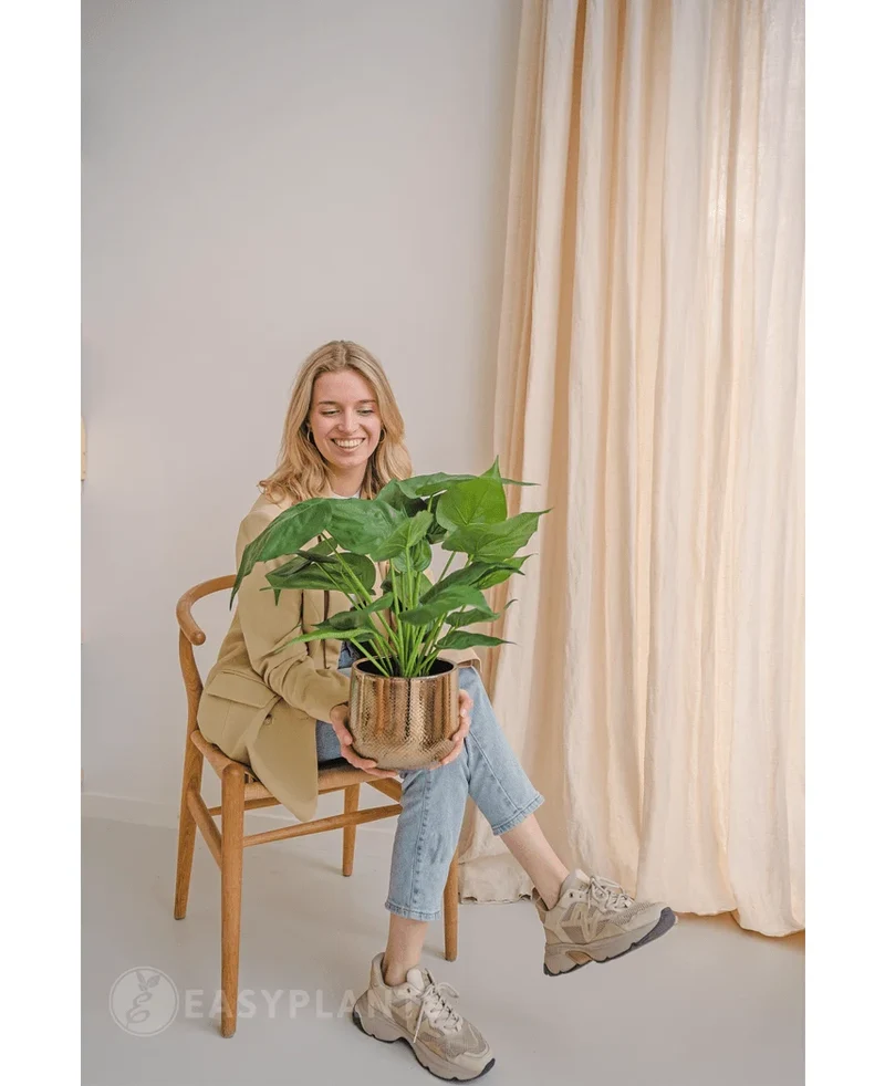 Kunstplant Alocasia UV 51 cm