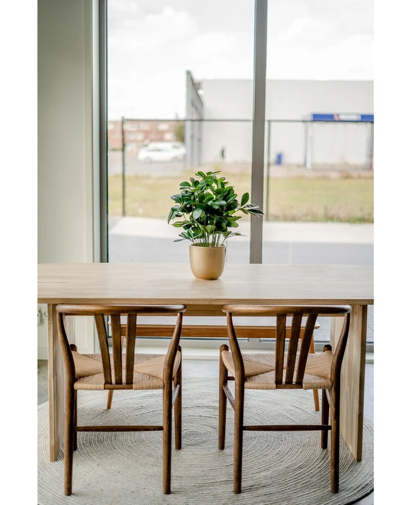 Kunstplant Baby Schefflera UV 45 cm