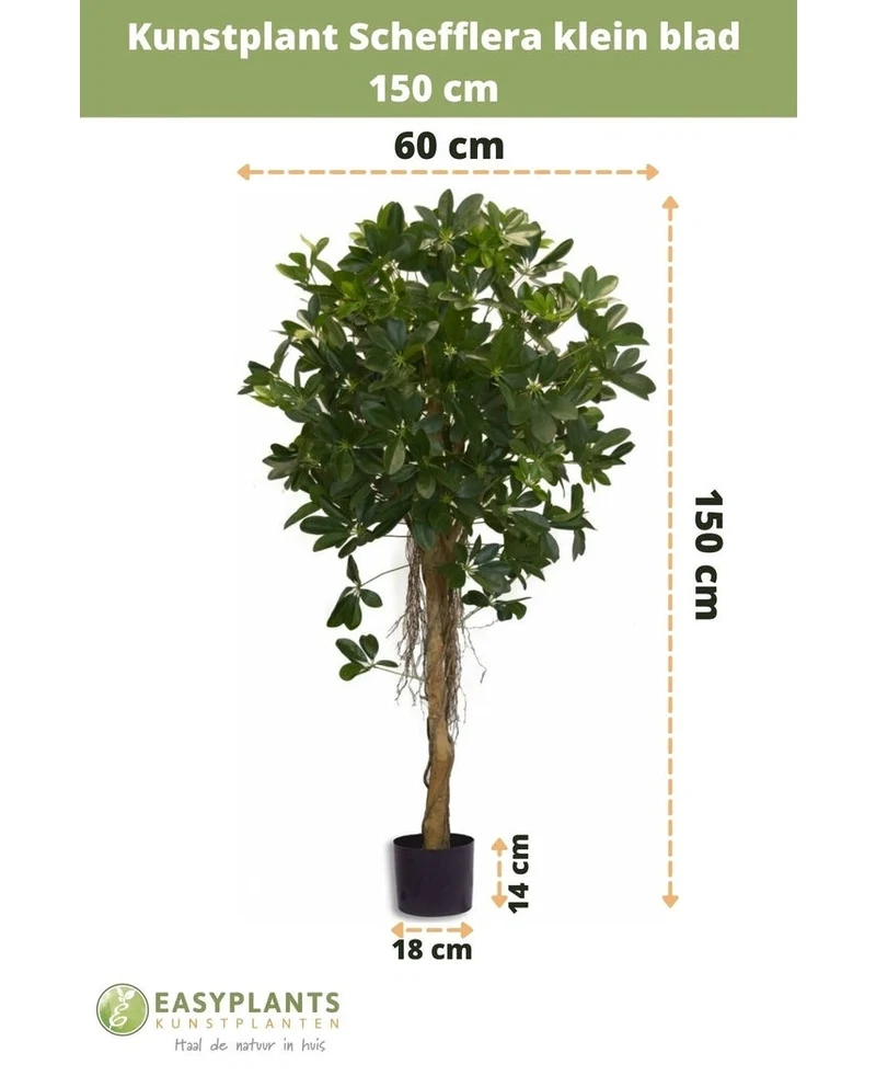 Kunstplant Schefflera klein blad 150 cm