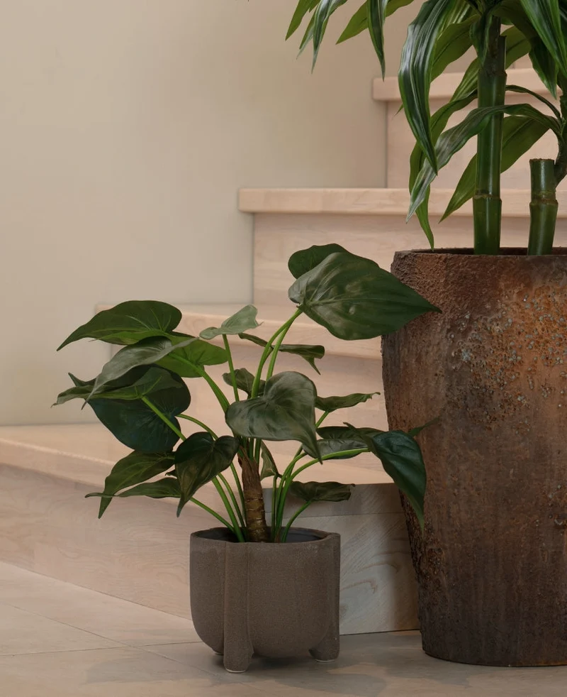 Kunstplant Alocasia Cucullata UV 53 cm