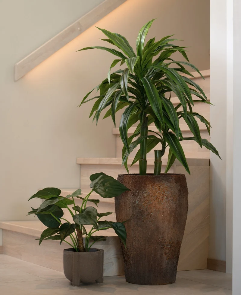 Kunstplant Alocasia Cucullata UV 53 cm