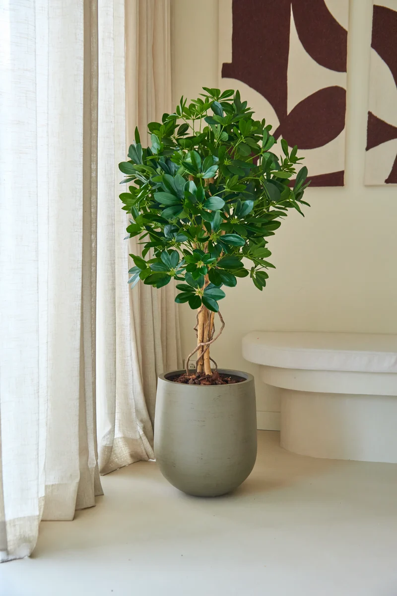 Kunstplant Schefflera 120 cm