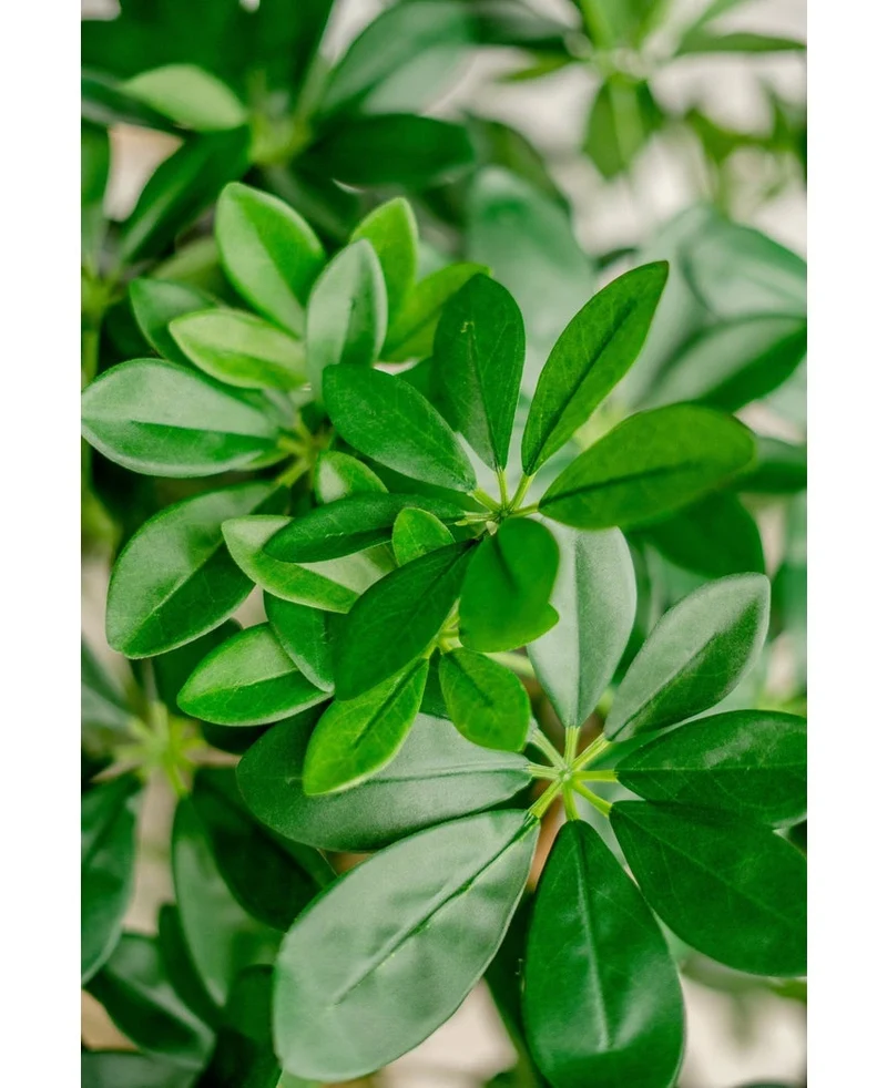 Kunstplant Schefflera 120 cm