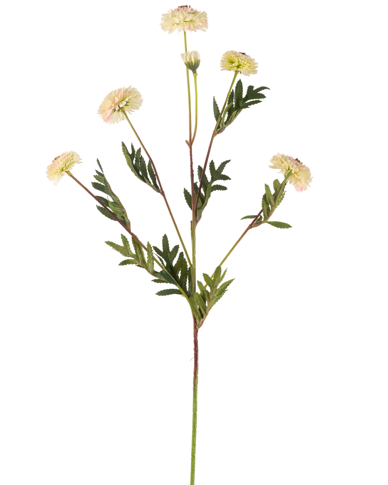 Künstliche Blumen Pompon Chrysantheme 69 cm creme/rosa (6er Set)