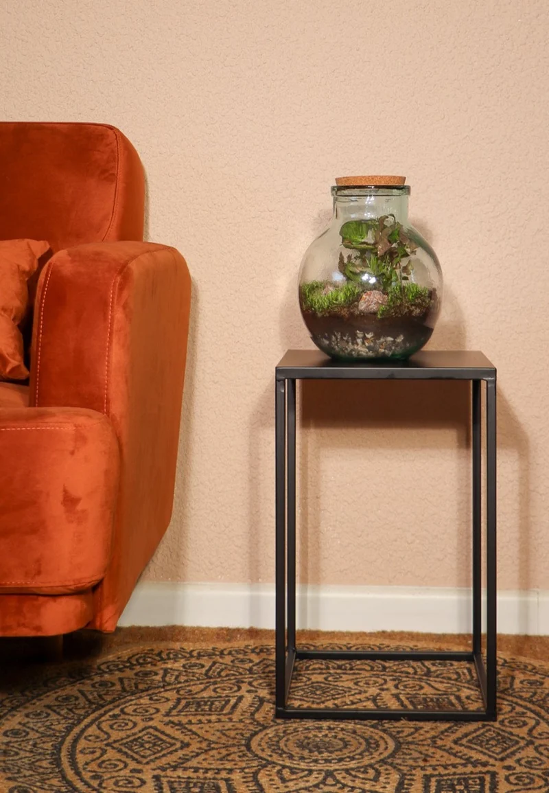 Terrarium kugelförmige Flasche (Flaschengarten) (M)