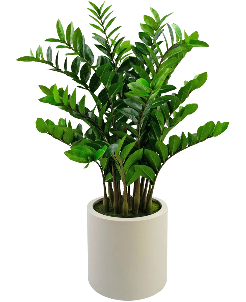 Künstliche Pflanze Zamioculcas fertig in beige Topf 120 cm