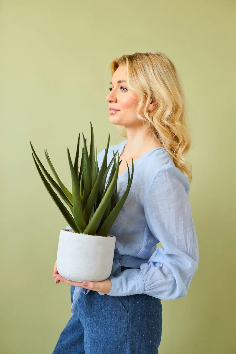 Kunstplant Aloe Vera 43 cm