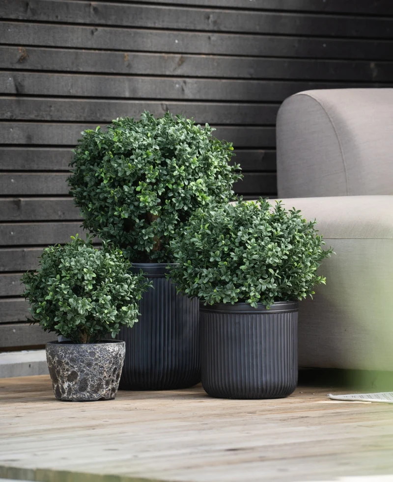 Kunst Buxus op stam UV 40 cm