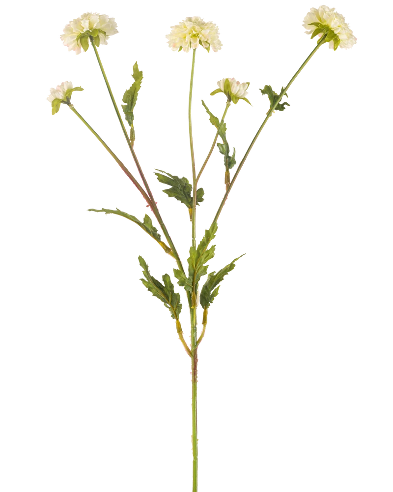 Künstliche Blumen Pompon Chrysantheme 69 cm creme/rosa (5er Set)