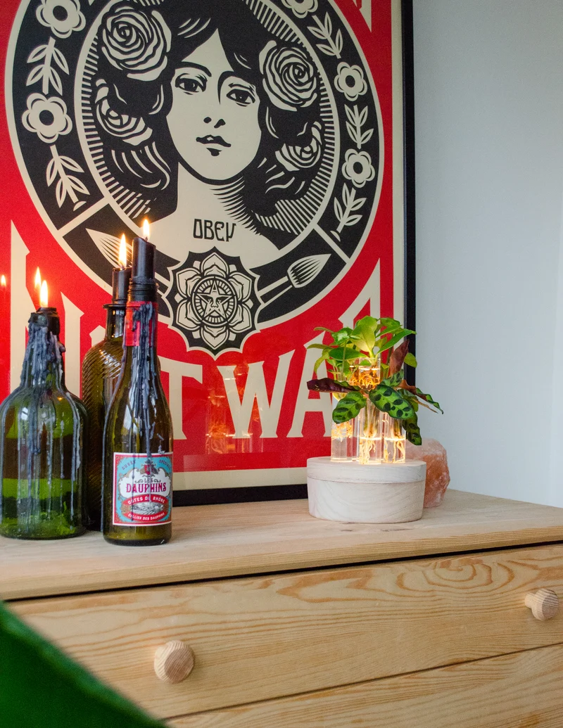 Stecklingsmix in Glas (mit LED-Beleuchtung) (S)