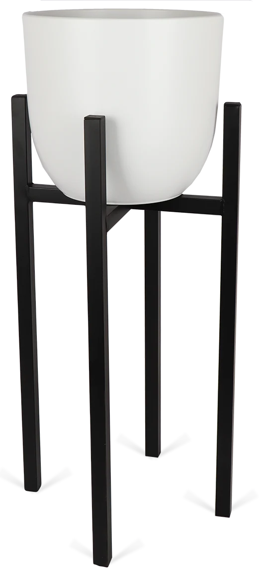 Ascot (37,5cm) Schwarz & Boule (31cm) Weiß