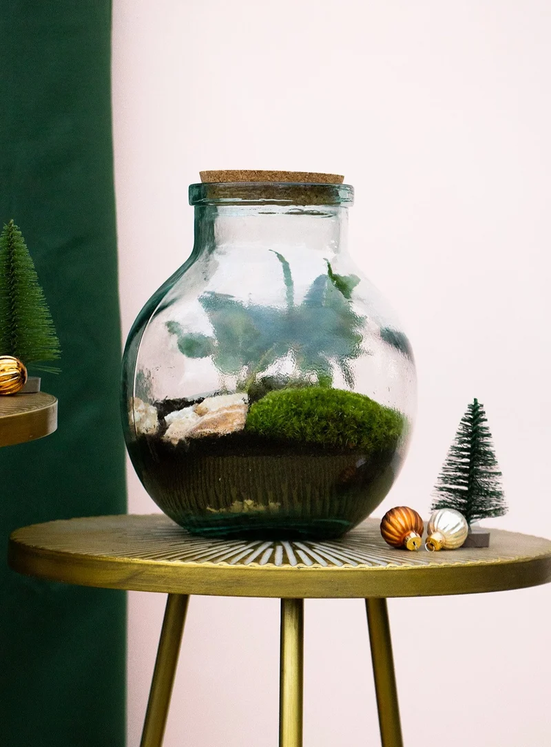 Terrarium kugelförmige Flasche (Flaschengarten) (M)
