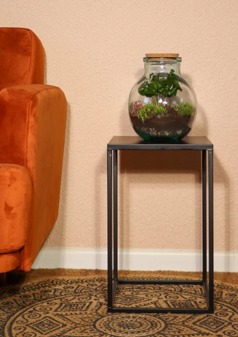 Terrarium kugelförmige Flasche (Flaschengarten) (M)