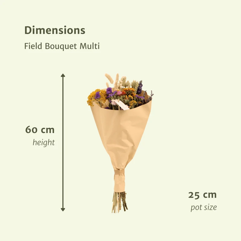 Feldbouquet Multi aus Trockenblumen, Ø25 cm, 60 cm Höhe