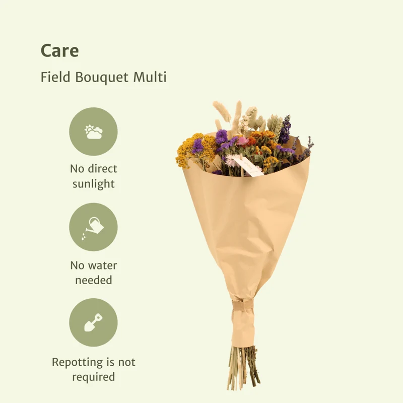 Feldbouquet Multi aus Trockenblumen, Ø25 cm, 60 cm Höhe