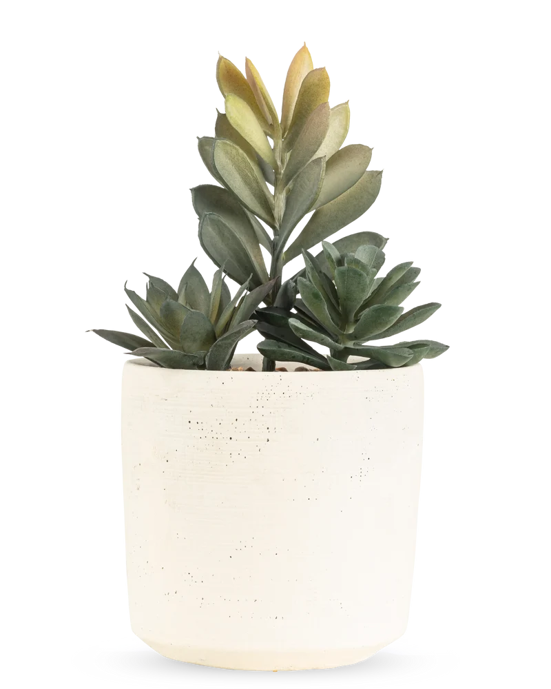Künstliche Sukkulente 20 cm