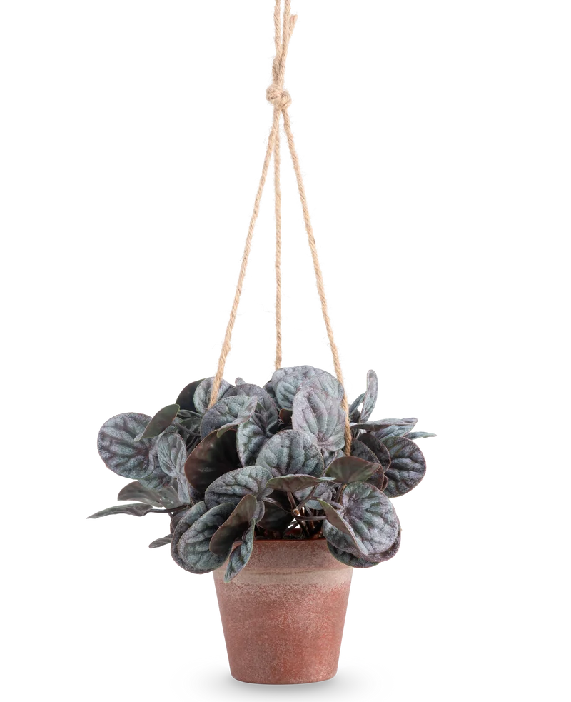 Kunstpflanze Rugose Blatt 18 cm grau im Hängetopf