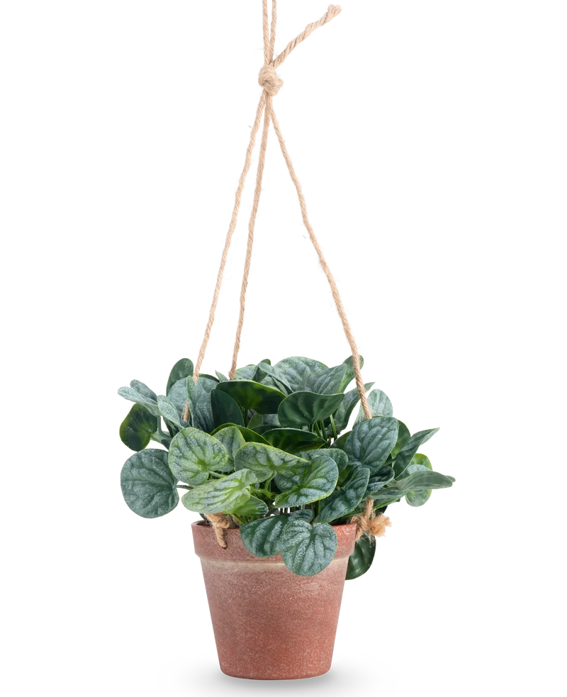 Kunstpflanze Rugose Blatt 18 cm grün im Hängetopf