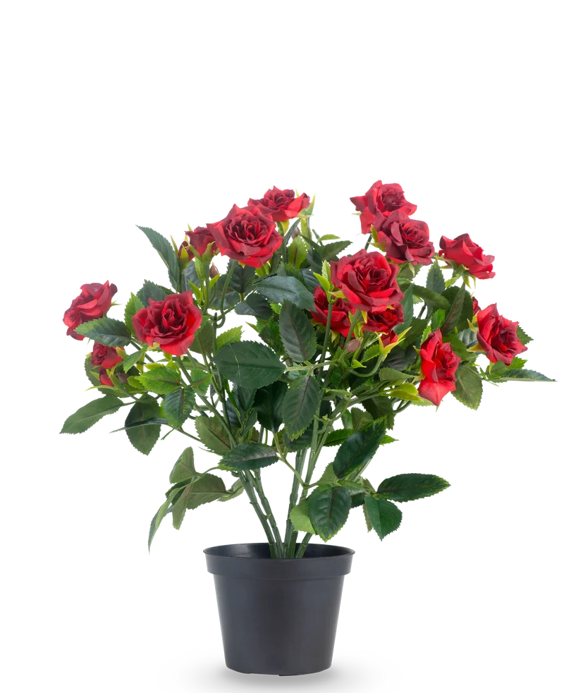 Kunstpflanze Patio Rose 35 cm rot/schwarz
