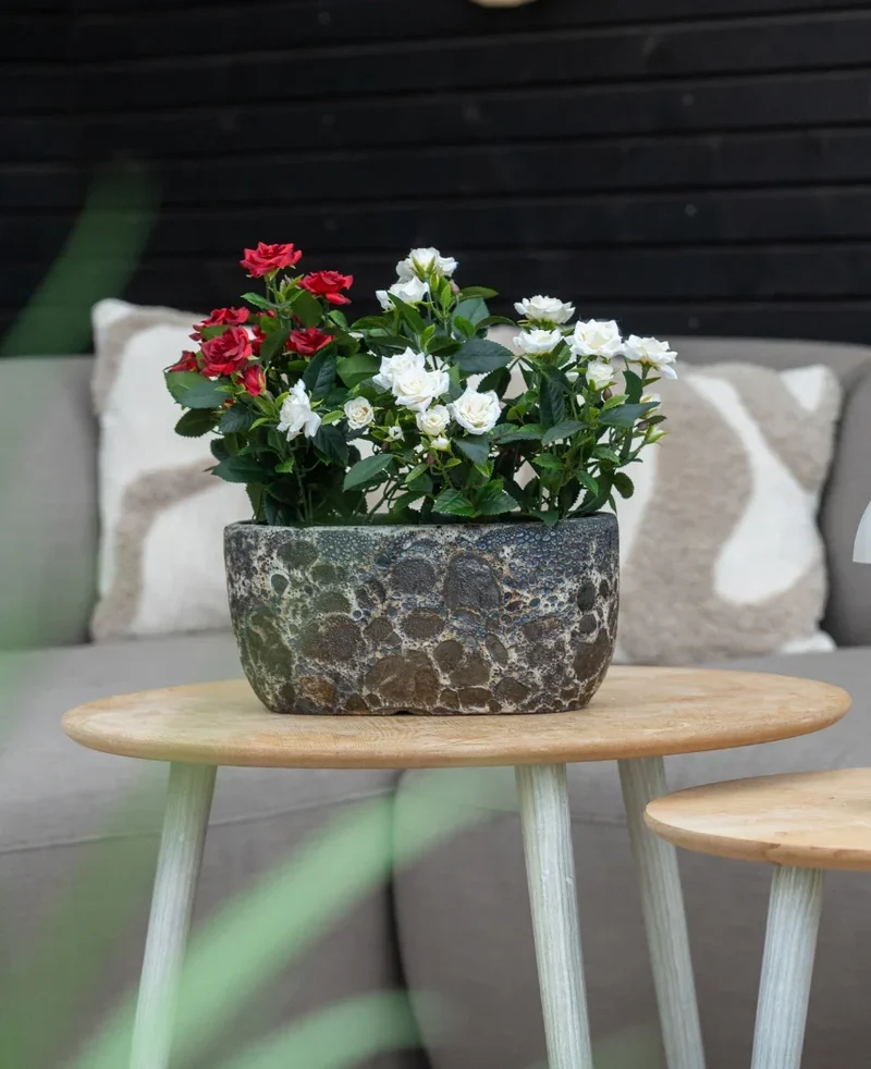 Kunstpflanze Patio Rose 35 cm rot/schwarz