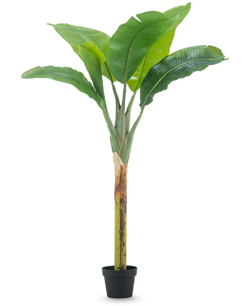 Künstlicher Bananenbaum 150 cm