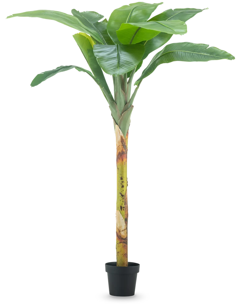 Künstlicher Bananenbaum 180 cm