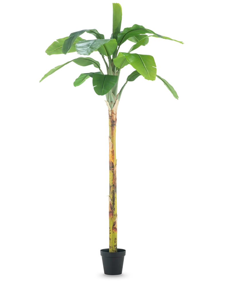 Künstlicher Bananenbaum 250 cm