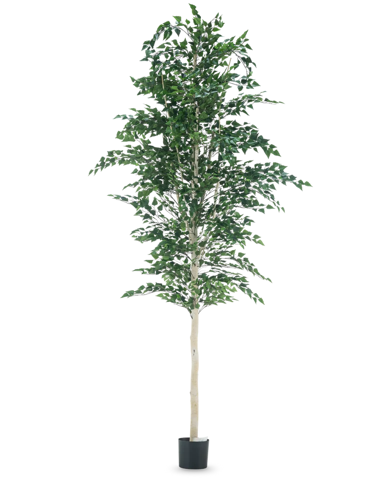Künstliche Birke 300 cm