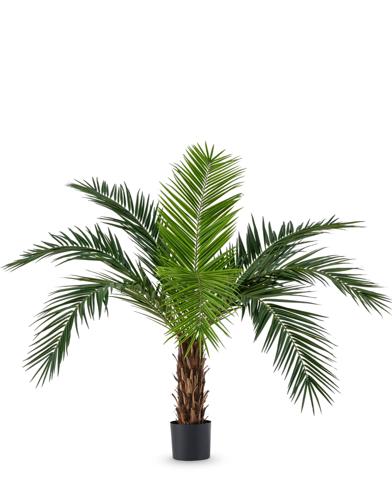 Künstliche Palme Phoenix Kanarienvogel 160 cm