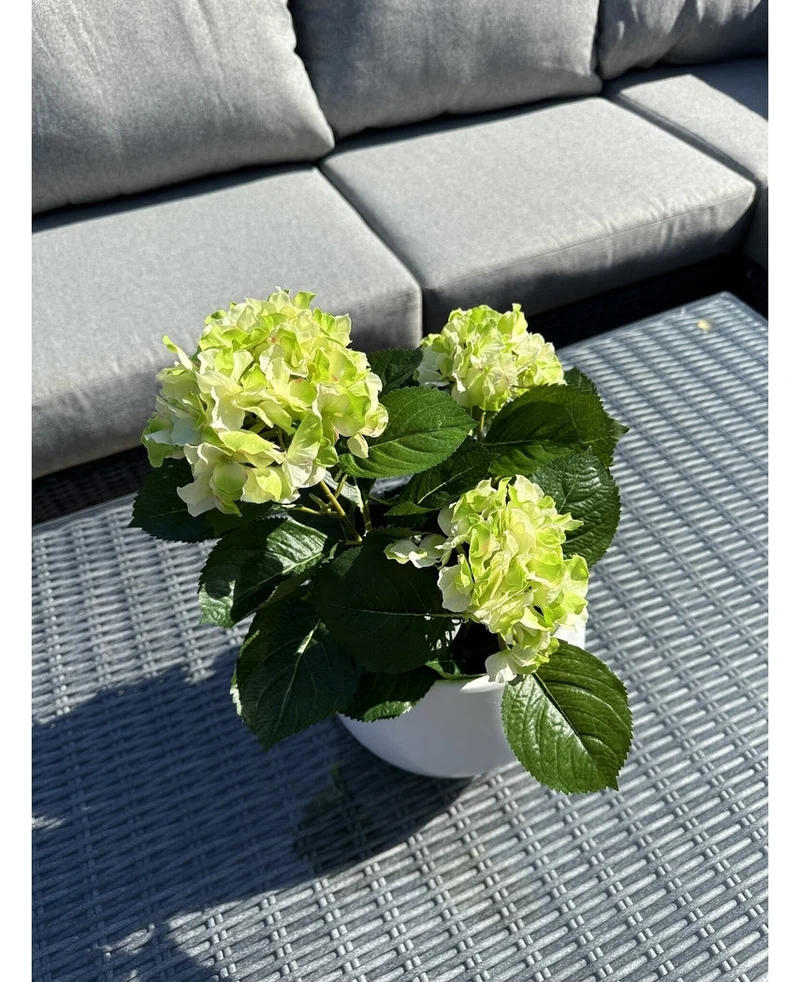 Kunstplant Hortensia Groen UV 35 cm